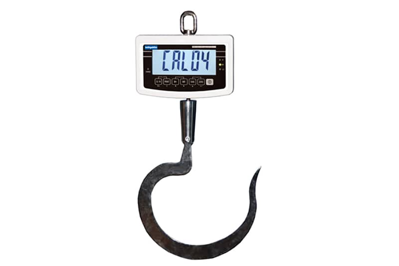 Crane Scale 150