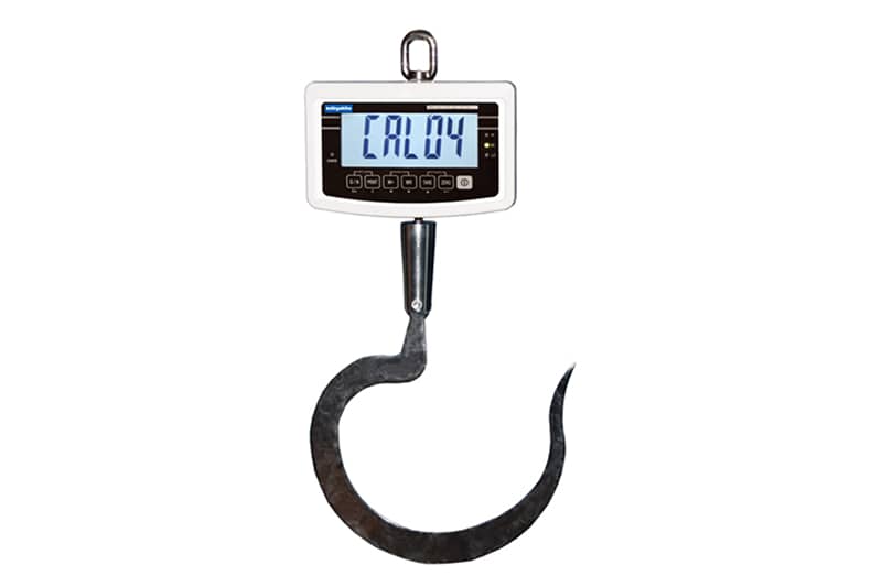 Crane Scale 60